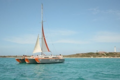 Octopus Aruba Boat Tours Sailing And Snorkeling Caribbean Blue Sea